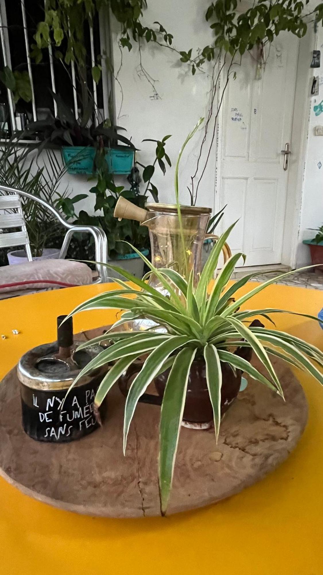 Dar Dyali Rooftop ⁿᵉᵃʳ ⁿᵍᵒʳ ᵇᵉᵃᶜʰ ᵃⁿᵈ ⁱˢˡᵃⁿᵈ Дакар Екстериор снимка